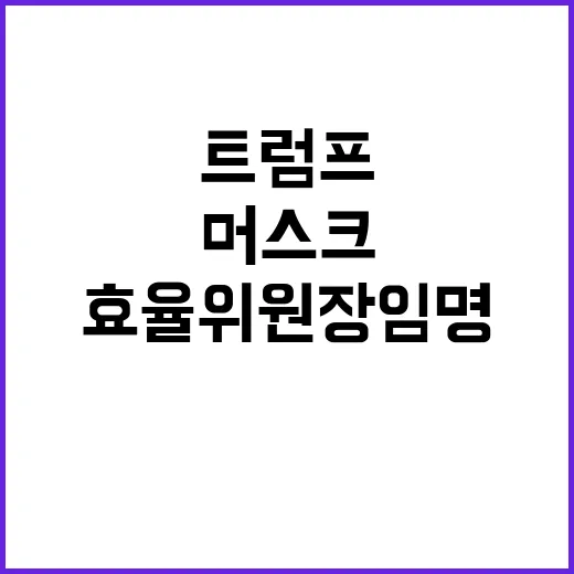 트럼프 머스크 효율…