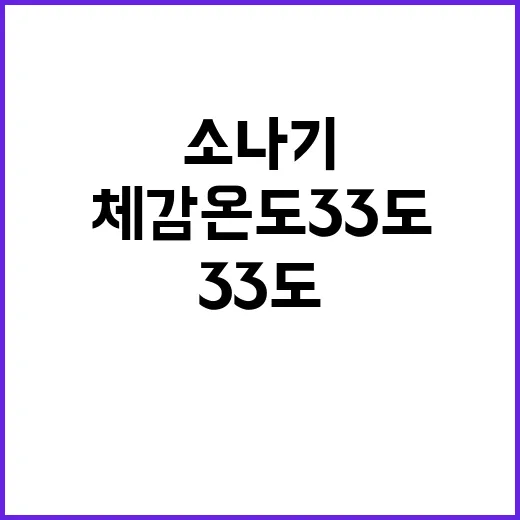 체감온도 33도 소나기 후 건강 적신호 발생!