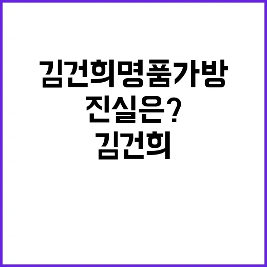 김건희 명품가방 뒷…