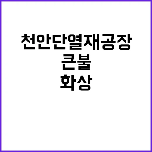 큰불 천안 단열재 공장에서 40대 전신 화상 이송!