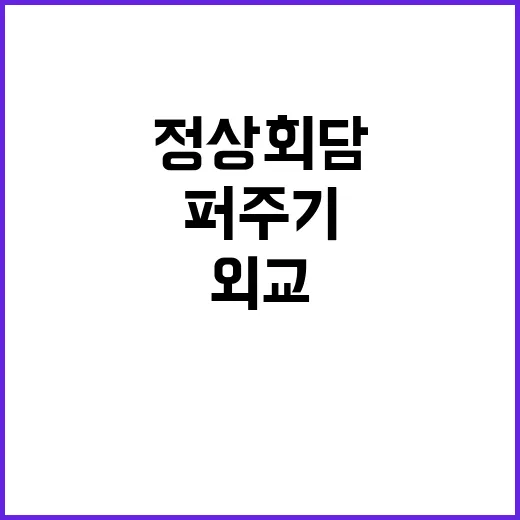 정상회담 여당의 셔…