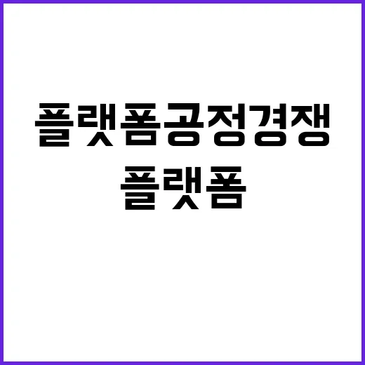 플랫폼 공정경쟁법 …