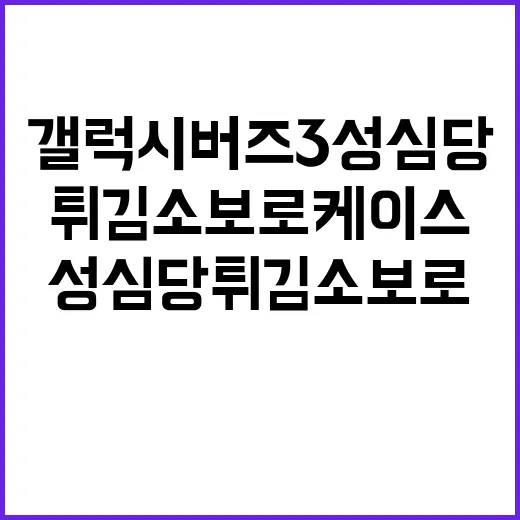 갤럭시 버즈3 성심당 튀김소보로 케이스 출시!