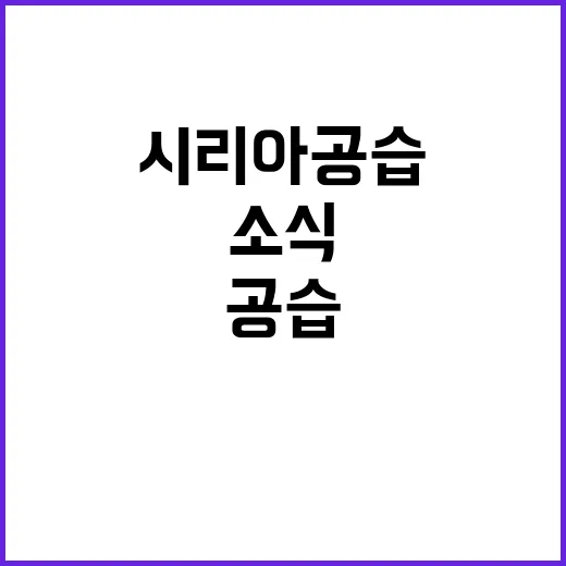 시리아 공습 14명 사망·43명 부상 소식!