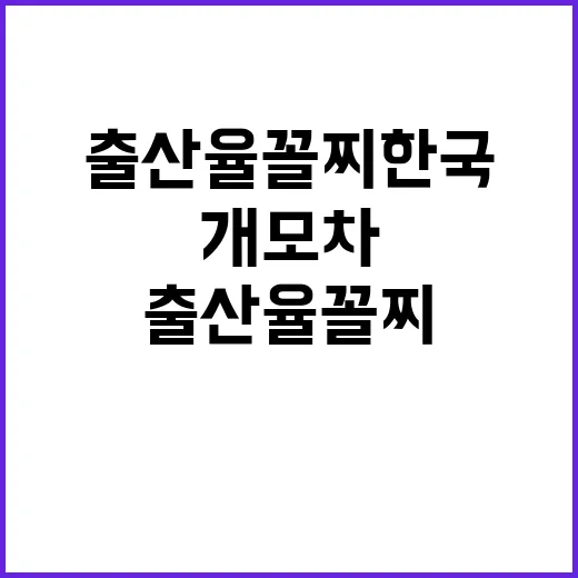 “출산율 꼴찌 한국 개모차 판매량 폭발적 증가!”