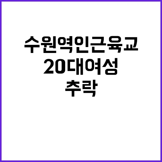 추락 사건 20대 …