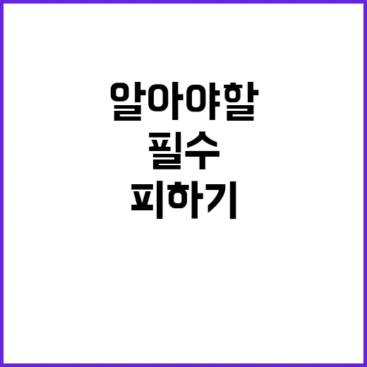 상품 피하기 지금 …