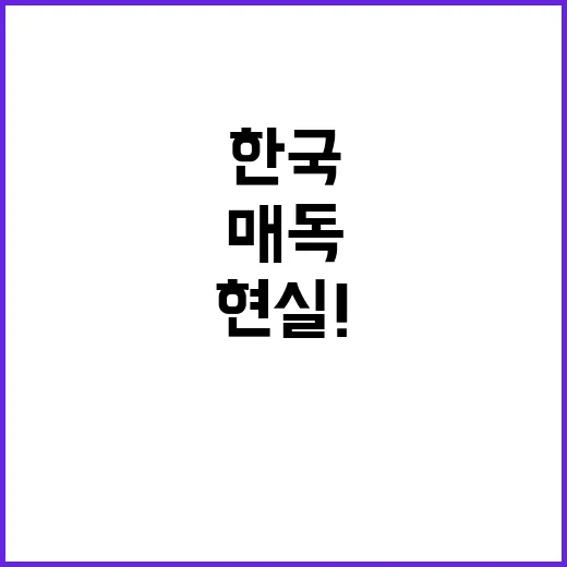 매독 폭증 한국의 …