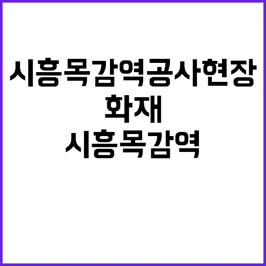 화재 발생 시흥 목감역 공사 현장 긴급 대처!