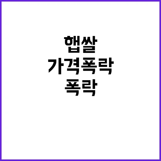 햅쌀 시장격리 가격 폭락의 비밀 밝혀졌다!