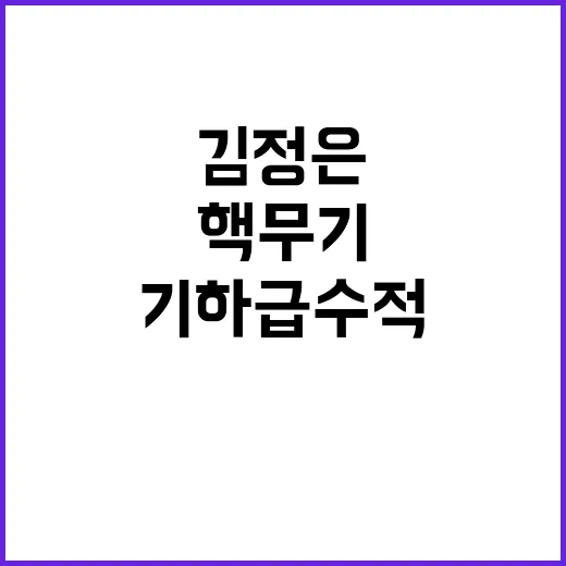 핵무기 기하급수적 증가 김정은의 강력한 메시지!