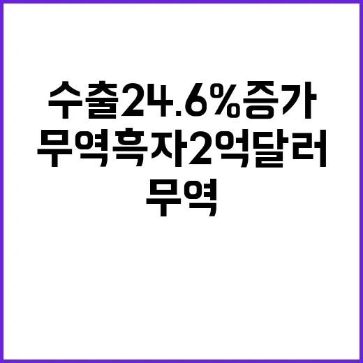 무역흑자 2억 달러 수출 24.6% 증가 이유!