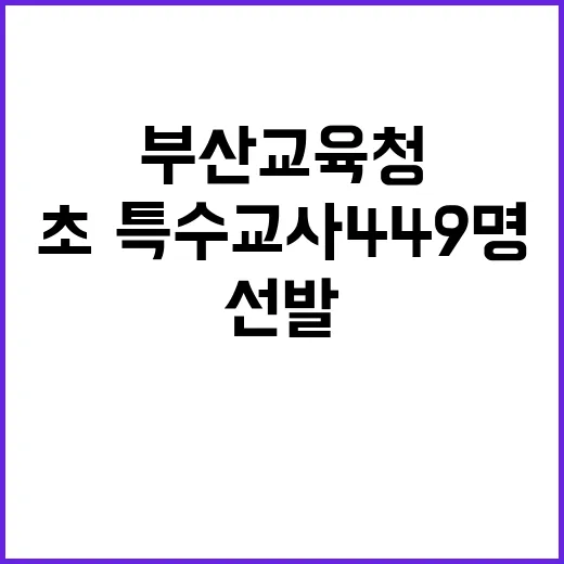 부산교육청 초·특수교사 449명 대규모 선발!