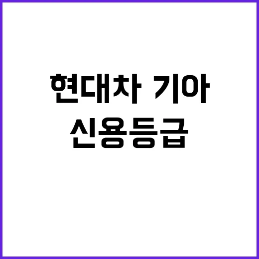 마약 밀반입 임신부의 비극적 선택과 결말!