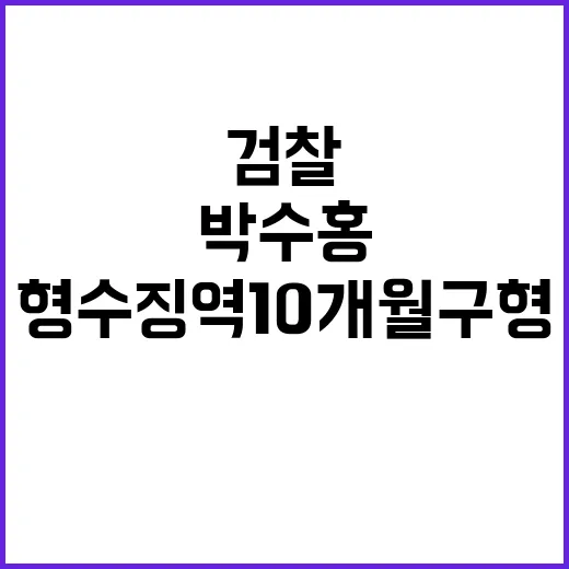 검찰 박수홍 형수 징역 10개월 구형 소식!