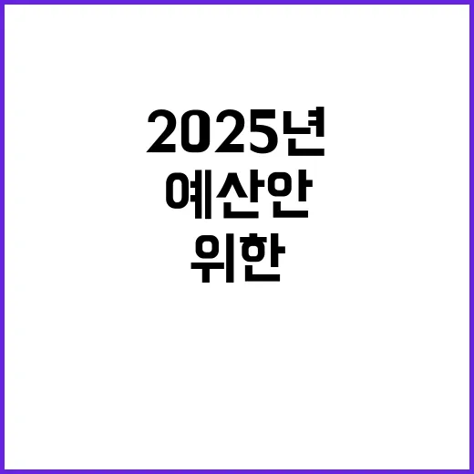 예산안 국민 안전 위한 2025년 대책 공개!