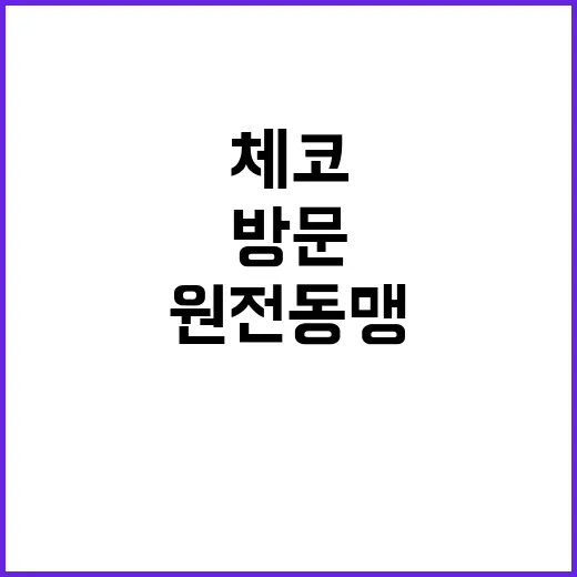 원전 동맹 구축 체…