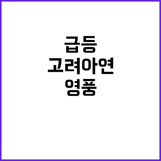 최연소 도전 고이즈…