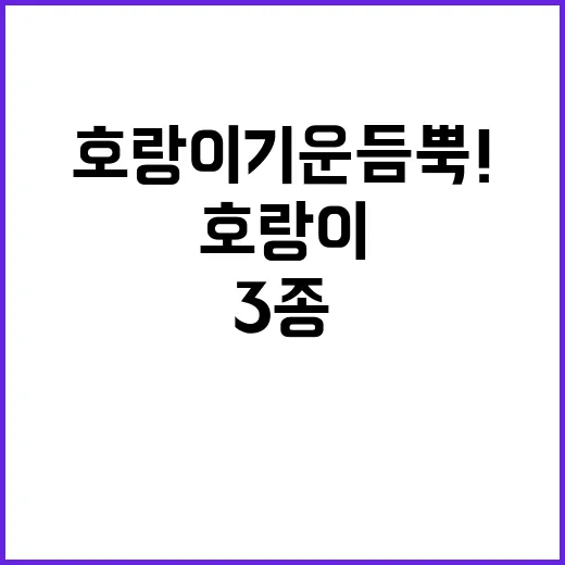 “호랑이 기운 듬뿍! 신제품 3종 대공개!”