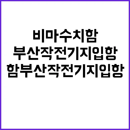 비마수치함 부산작전…