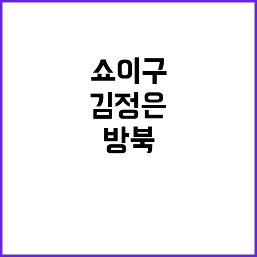 김정은 방북 쇼이구…