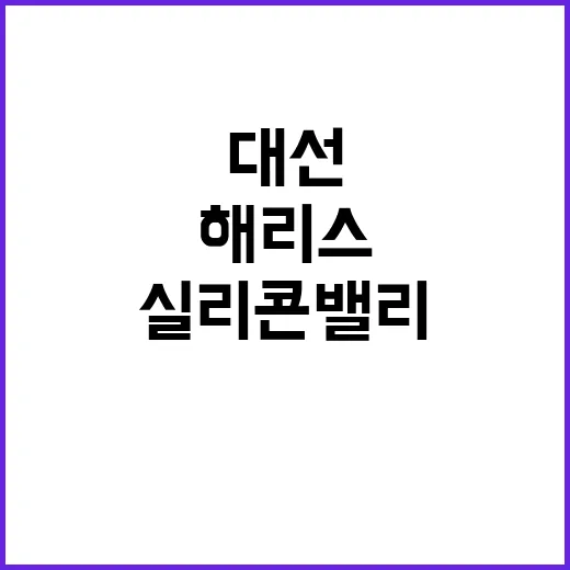 실리콘밸리 대선 직원들은 해리스 지지!