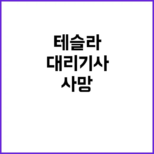 테슬라 충돌 사고 70대 대리기사 비극적 사망!