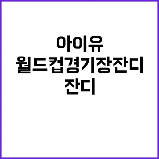 “월드컵 경기장 잔…