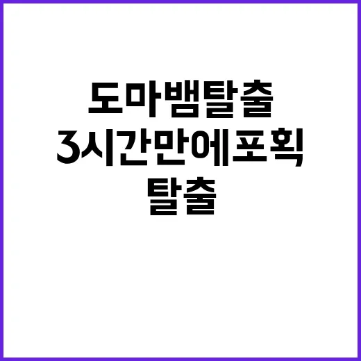 도마뱀 탈출 김포시에서 3시간 만에 포획!