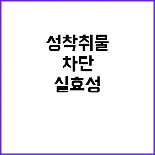 성착취물 접속차단 …