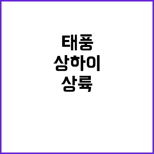 태풍 상륙! 상하이…