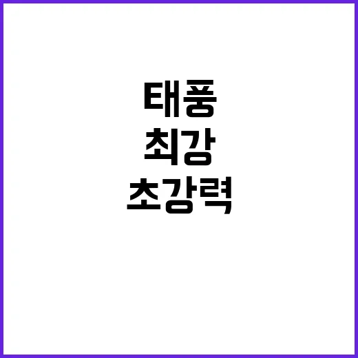 최강 태풍 75년 …