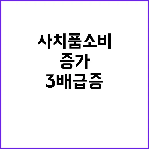 사치품 소비 증가 …