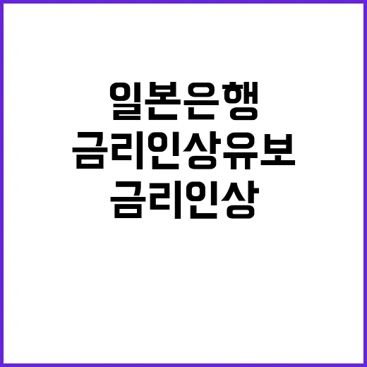 일본은행 금리인상 유보 결정에 대한 분석가들 의견