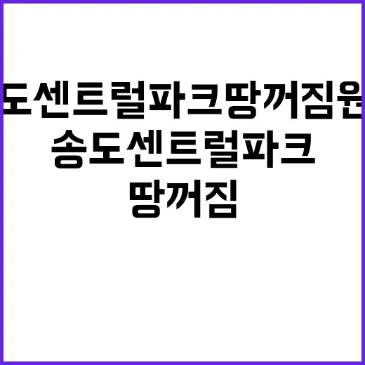 송도 센트럴파크 땅 꺼짐 원인과 해결책 공개!