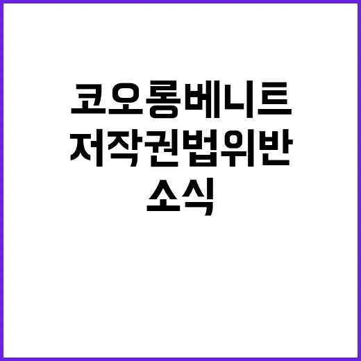 저작권법 위반 코오…