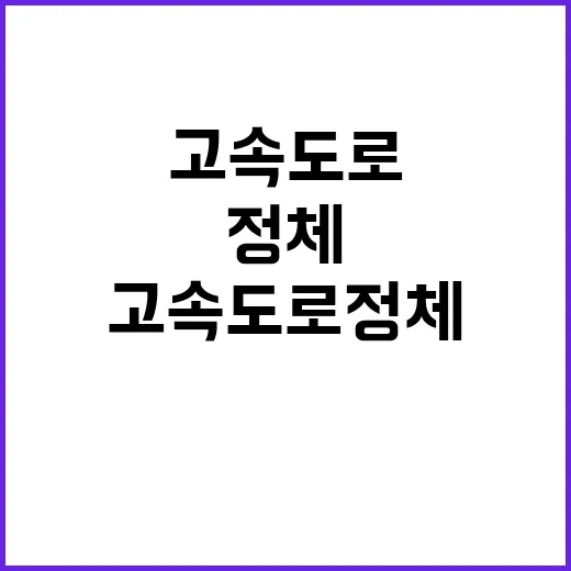 고속도로 정체 ‘극…