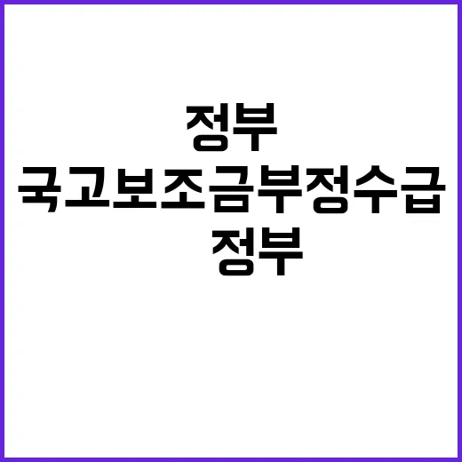 국고보조금 부정수급 文정부와 비교한 놀라운 수치!