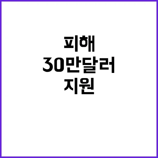 태풍 피해 SK의 30만 달러 복구 지원 결정!