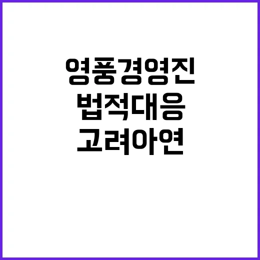 법적 대응 고려아연…