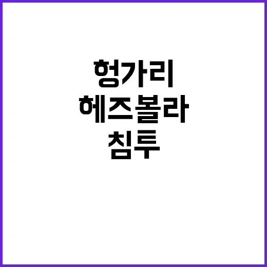 헤즈볼라 폭약 헝가…