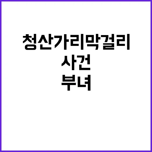 청산가리 막걸리 사…