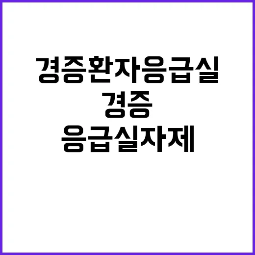 경증환자 응급실 자…