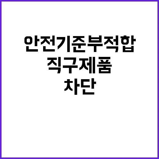 안전기준 부적합 알리·테무 직구 제품 차단!