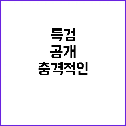 특검 민감한 부분 추경호의 충격적인 답변 공개!