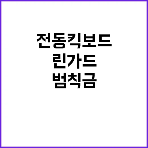 전동킥보드 범칙금 린가드 19만원 충격 사실!