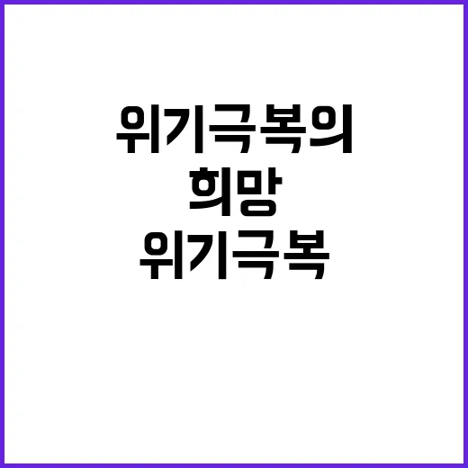 금리 인하 글로벌 …