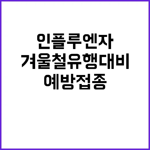 인플루엔자 예방접종…