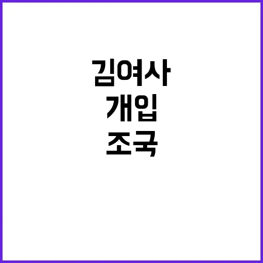 조국 탄핵 증거 김…