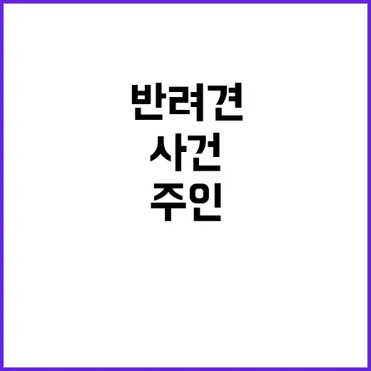 반려견 사건 주인은…